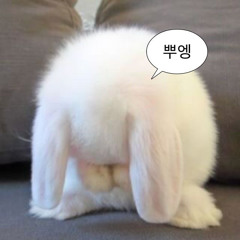 애기톳기