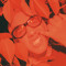 Elmo Reno