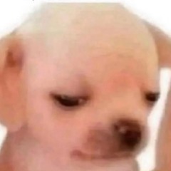LaeshP