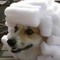 BigBooma