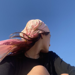 lallypryv