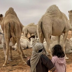 فهد الدوسري