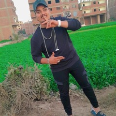 Tarek Alaa