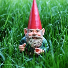Gnome in Grass