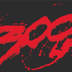 big300