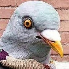 SnuifDuif