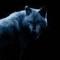 Jack_sky