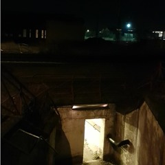 Marcel Brennholzverleih