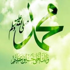 مالك أبو أنس