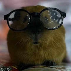 meowsome