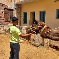 Chandraprakash R Naidu