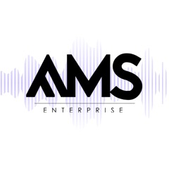 AMS Enterprise LLC