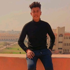 Fathy Alaa