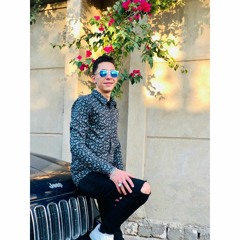 Zyad Elhmzawy