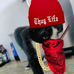 637GODWIN - Cant Fix That (prod.Saba)