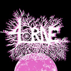4LORNE