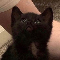 Андрій Марчук