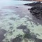 wave