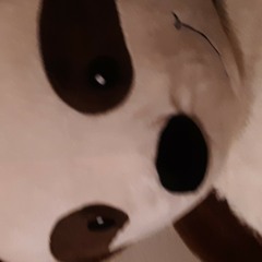 gaymydude