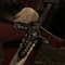 ⚔️༒︎𝐿𝐸𝑌𝑅𝐴.༒︎⚔️