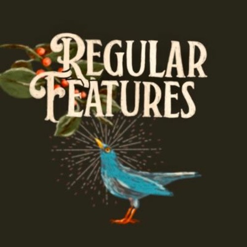Regular Features’s avatar