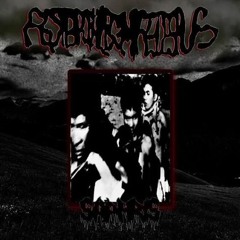 Festerphlegmfecespus