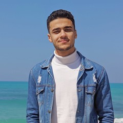 Hassan Eltawiel
