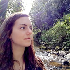 Home At Last - Steely Dan cover