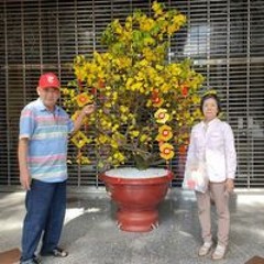 Hiệp Dương