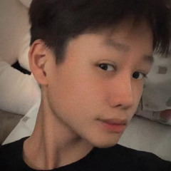 duc tran vu