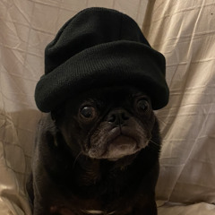 NateDiggtyDog