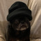 NateDiggtyDog