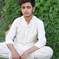 Waseem Shaghzi