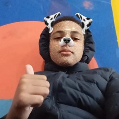 lleo.ribx_021