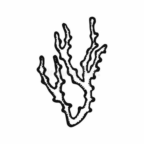 Korall’s avatar
