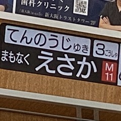 Esaka_M11