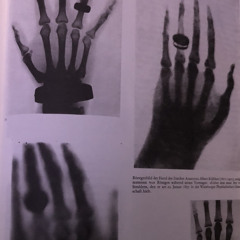 Ditadinebbia