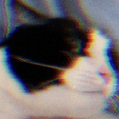 Føx’s4sh3s