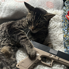 bubsy3dfan