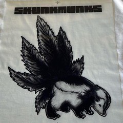 Skunk Munks