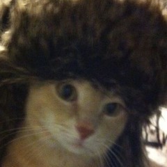 Xãññy_WRLD (ベナドリル)