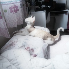 Back To The Beginning