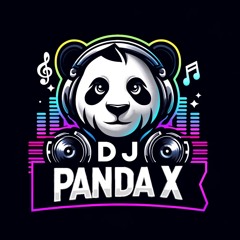DJ PandaX