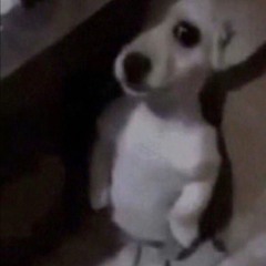 Revokn all movenK StrollenK