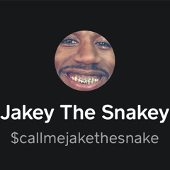 JakeTheSNAKE
