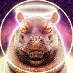 The Holy Hippo