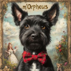 m'Orpheus