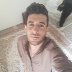 Shahin Ahmadi