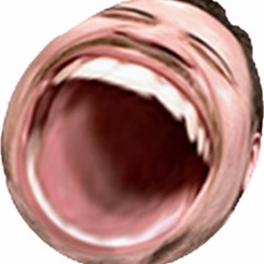 zero_ham
