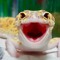 Inanna's gecko
